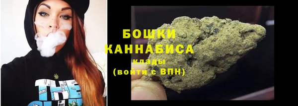 дурь Арсеньев