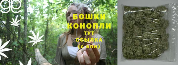 дурь Арсеньев