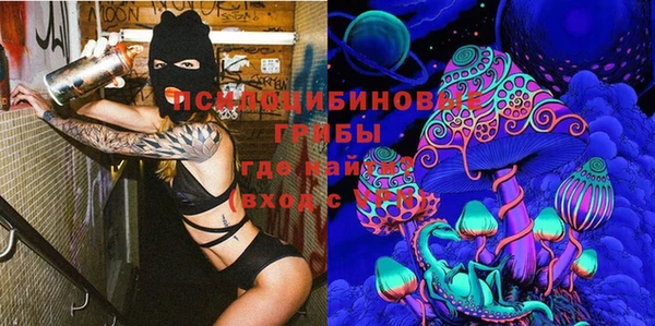 каннабис Аркадак